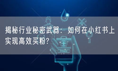 揭秘行业秘密武器：如何在小红书上实现高效买粉?