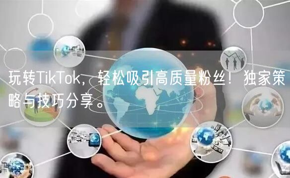 玩转TikTok，轻松吸引高质量粉丝！独家策略与技巧分享。