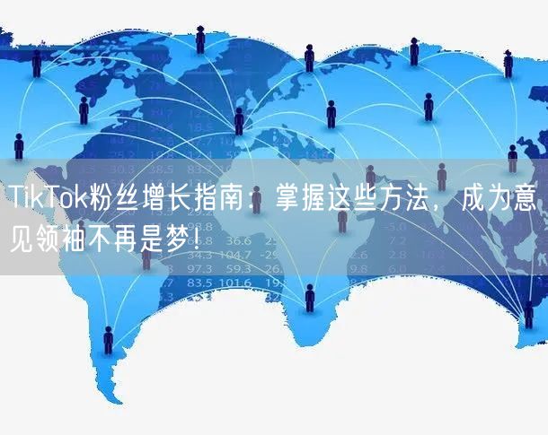 TikTok粉丝增长指南：掌握这些方法，成为意见领袖不再是梦！