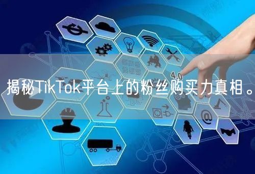 揭秘TikTok平台上的粉丝购买力真相。