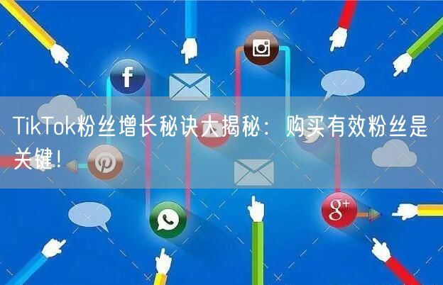 TikTok粉丝增长秘诀大揭秘：购买有效粉丝是关键！
