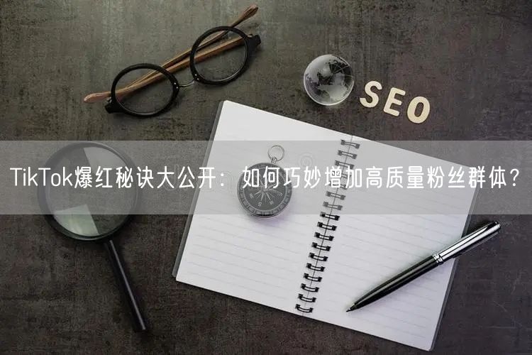 TikTok爆红秘诀大公开：如何巧妙增加高质量粉丝群体？