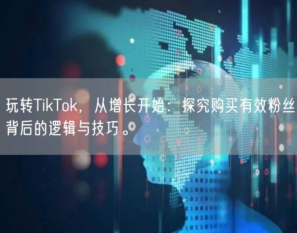 玩转TikTok，从增长开始：探究购买有效粉丝背后的逻辑与技巧。