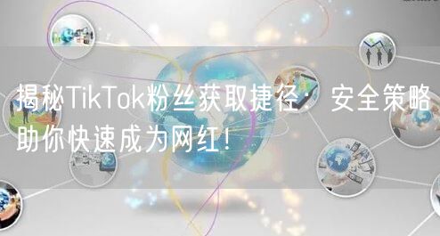 揭秘TikTok粉丝获取捷径：安全策略助你快速成为网红！