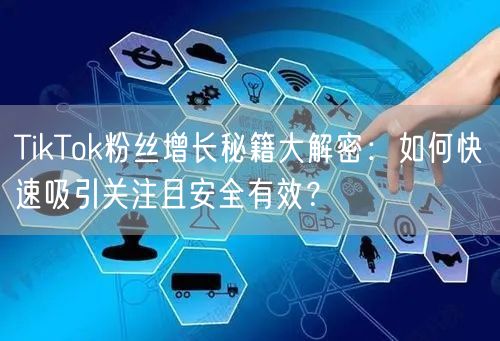 TikTok粉丝增长秘籍大解密：如何快速吸引关注且安全有效？