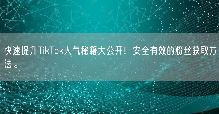快速提升TikTok人气秘籍大公开！安全有效的粉丝获取方法。