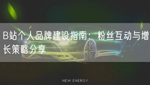 B站个人品牌建设指南：粉丝互动与增长策略分享
