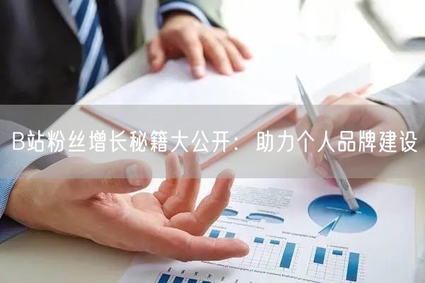 B站粉丝增长秘籍大公开：助力个人品牌建设