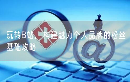 玩转B站，构建魅力个人品牌的粉丝基础攻略