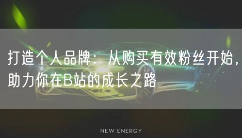 打造个人品牌：从购买有效粉丝开始，助力你在B站的成长之路