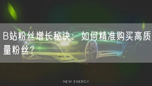 B站粉丝增长秘诀：如何精准购买高质量粉丝？