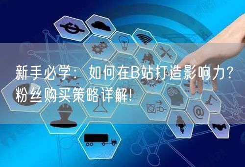 新手必学：如何在B站打造影响力？粉丝购买策略详解!