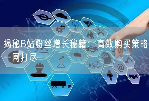 揭秘B站粉丝增长秘籍：高效购买策略一网打尽
