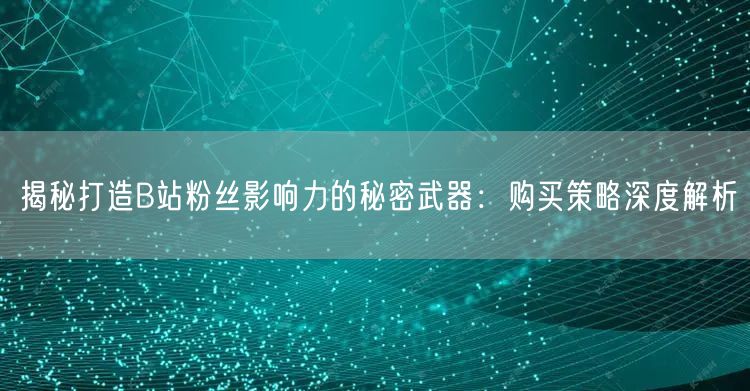 揭秘打造B站粉丝影响力的秘密武器：购买策略深度解析