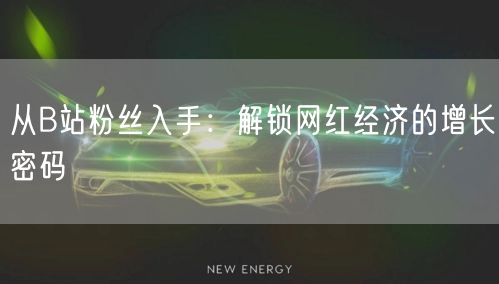 从B站粉丝入手:解锁网红经济的增长密码