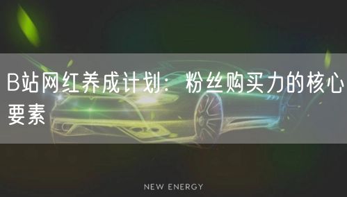 B站网红养成计划:粉丝购买力的核心要素