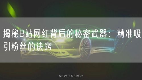 揭秘B站网红背后的秘密武器:精准吸引粉丝的诀窍