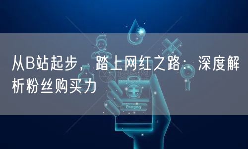 从B站起步,踏上网红之路:深度解析粉丝购买力