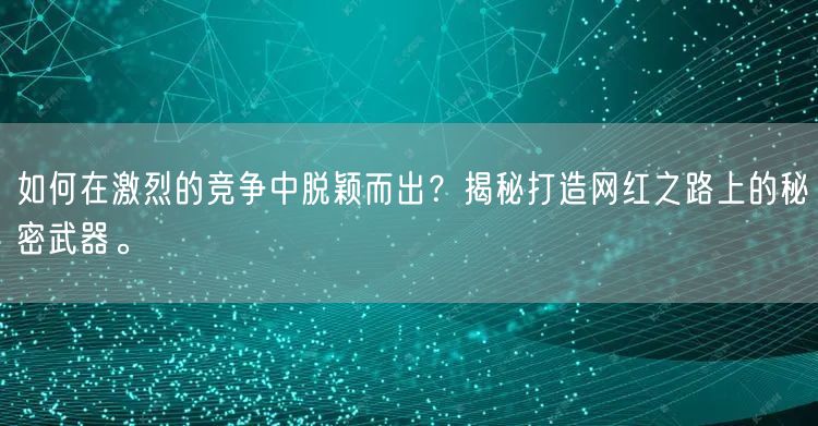 如何在激烈的竞争中脱颖而出?揭秘打造网红之路上的秘密武器。