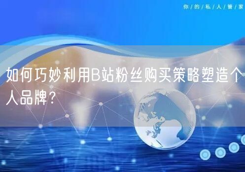 如何巧妙利用B站粉丝购买策略塑造个人品牌?