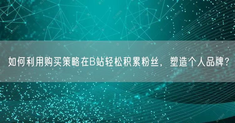 如何利用购买策略在B站轻松积累粉丝,塑造个人品牌?