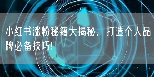 小红书涨粉秘籍大揭秘，打造个人品牌必备技巧!