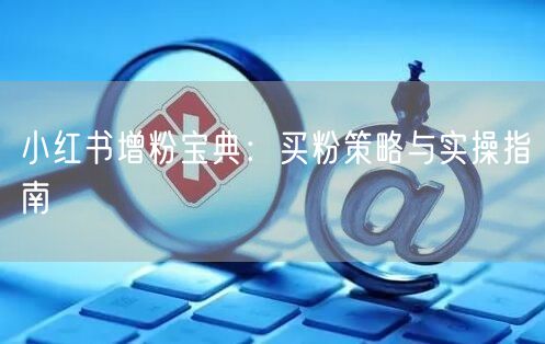 小红书增粉宝典:买粉策略与实操指南