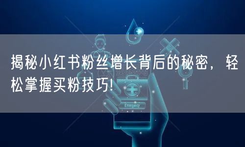 揭秘小红书粉丝增长背后的秘密,轻松掌握买粉技巧!