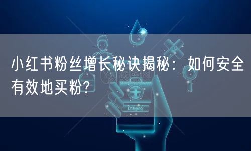 小红书粉丝增长秘诀揭秘:如何安全有效地买粉?