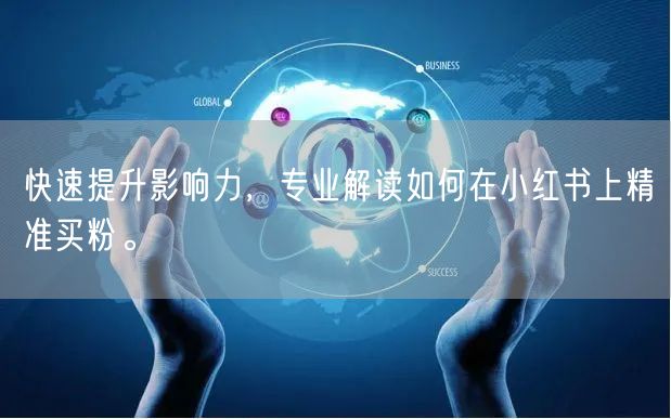 快速提升影响力,专业解读如何在小红书上精准买粉。