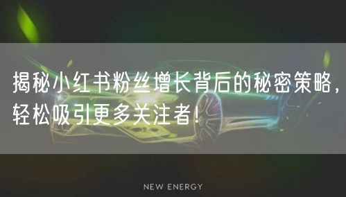 揭秘小红书粉丝增长背后的秘密策略,轻松吸引更多关注者!
