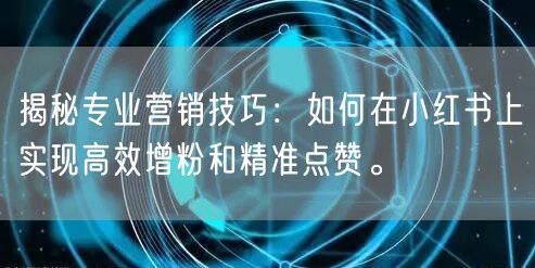 揭秘专业营销技巧:如何在小红书上实现高效增粉和精准点赞。