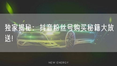 独家揭秘:抖音粉丝号购买秘籍大放送!