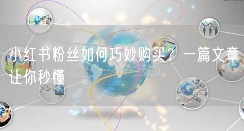 小红书粉丝如何巧妙购买?一篇文章让你秒懂