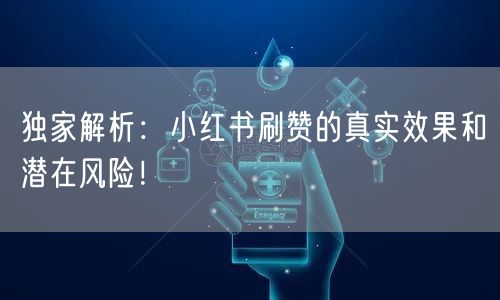 独家解析:小红书刷赞的真实效果和潜在风险!