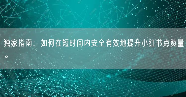 独家指南:如何在短时间内安全有效地提升小红书点赞量。