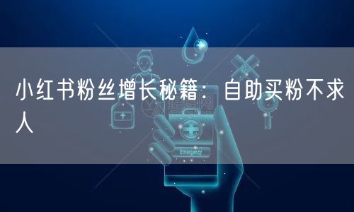 小红书粉丝增长秘籍:自助买粉不求人