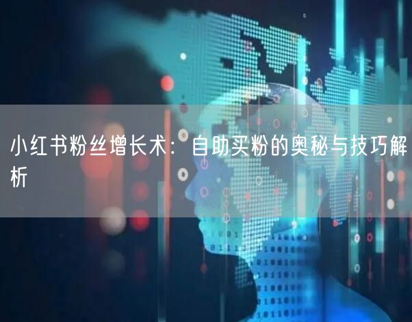 小红书粉丝增长术:自助买粉的奥秘与技巧解析