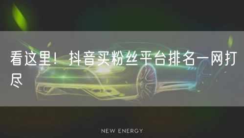 看这里!抖音买粉丝平台排名一网打尽