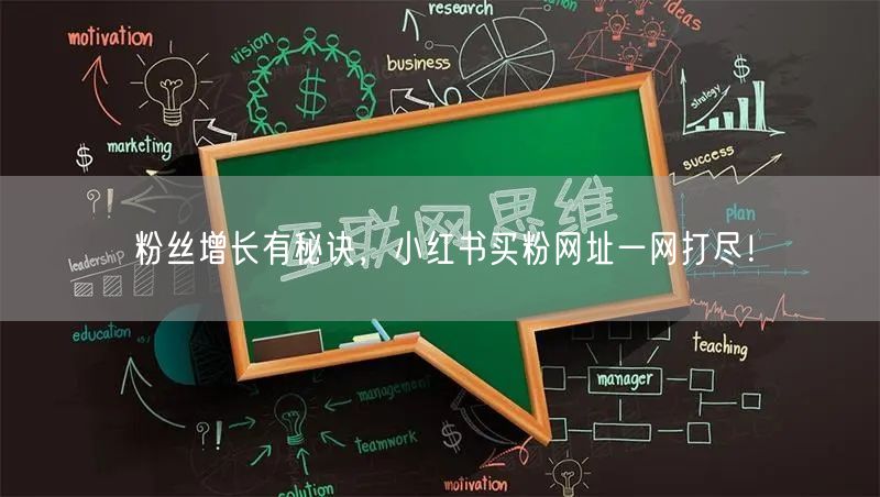 粉丝增长有秘诀，小红书买粉网址一网打尽！