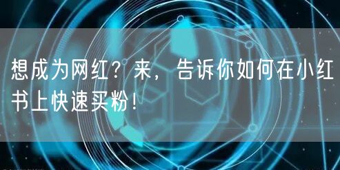 想成为网红?来,告诉你如何在小红书上快速买粉!