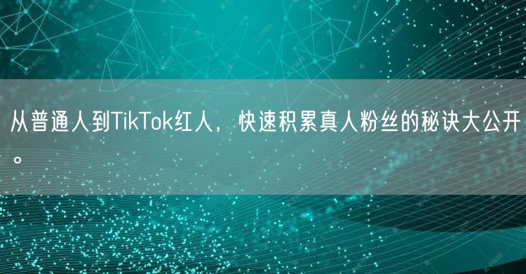 从普通人到TikTok红人,快速积累真人粉丝的秘诀大公开。