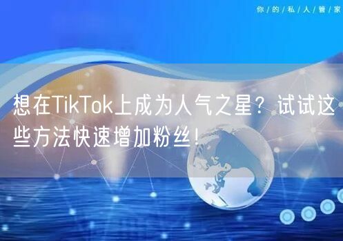 想在TikTok上成为人气之星?试试这些方法快速增加粉丝!